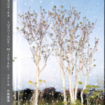 【希少本】Yusurika / 水谷吉法 Yoshinori Mizutani | 水谷吉法 | Photobooks YUSURIKA