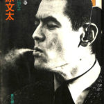Amazon.co.jp: 菅原文太 改訂: 野良犬の怨念 (シネアルバム 95