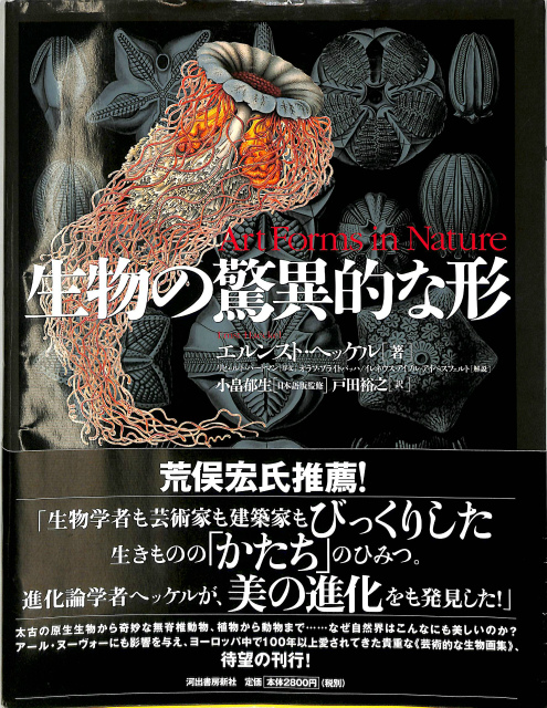 生物の驚異的な形 エルンスト・ヘッケル 他 著 | 古本よみた屋