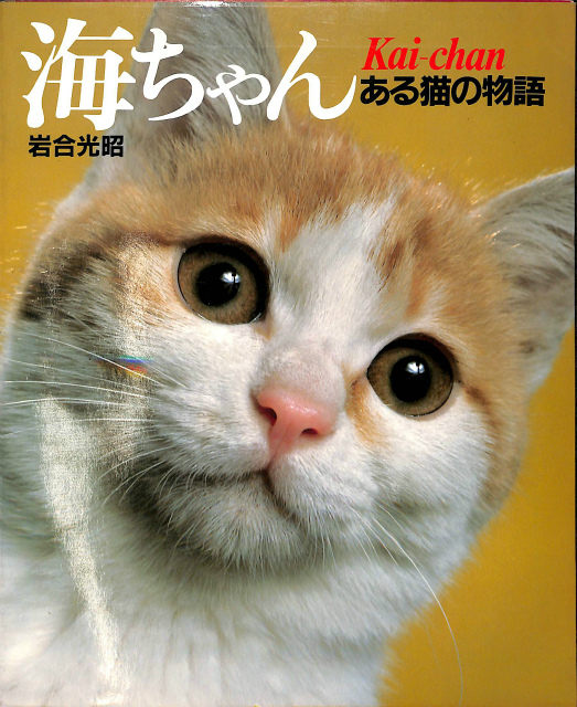 海ちゃん ある猫の物語 岩合光昭 | 古本よみた屋 おじいさんの本、買い