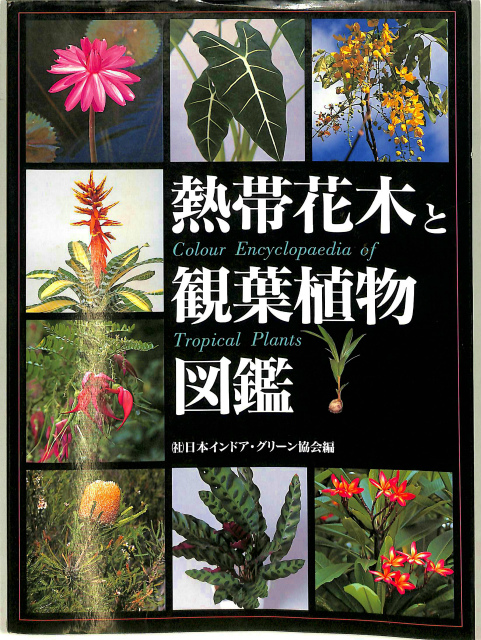 熱帯花木と観葉植物図鑑 日本インドア・グリーン協会 編 | 古本よみた