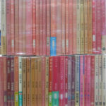 筒井康隆全集〈17〉七瀬ふたたび.メタモルフォセス群島 | 筒井
