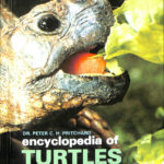 亀百科辞典（英）encyclopedia of TURTLES DR.PETER C.h.