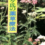 Amazon.com: メッセゲ氏の薬草療法: 9784915040177: unknown