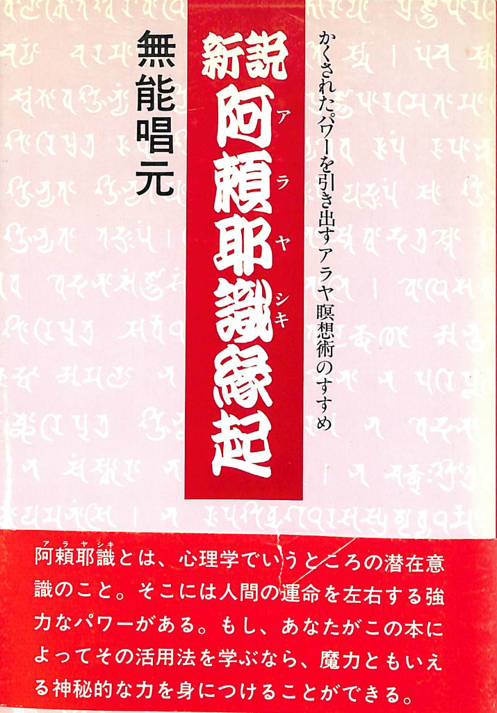 新説 阿頼耶識縁起 かくされたパワーを引き出すアラヤ瞑想術のすすめ 