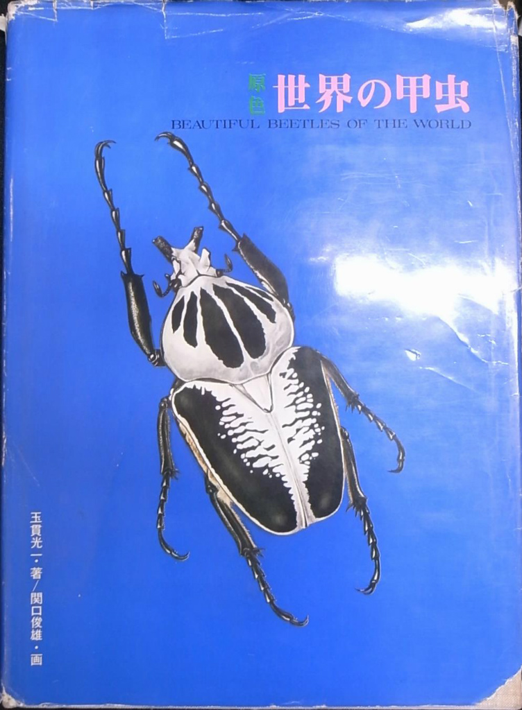 原色 世界の甲虫 BEAUTIFUL BEETLES OF THE WORLD(玉貫光一 関口俊雄