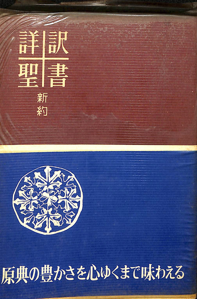 詳訳聖書 初版 書き込みなし - 本