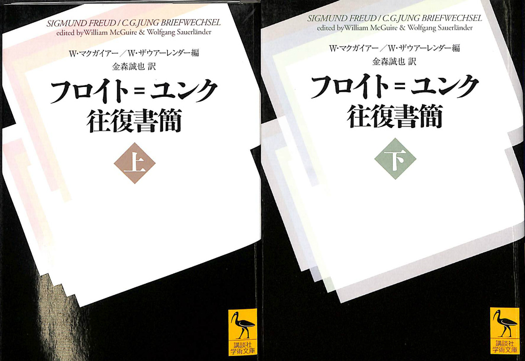 精神分裂病の解釈 シルヴァーノアリエティ 2冊セット 医学 | zensho24