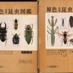 原色日本昆虫図鑑 甲虫 上 下 明倫館書店 / 原色日本昆虫図鑑 上・下