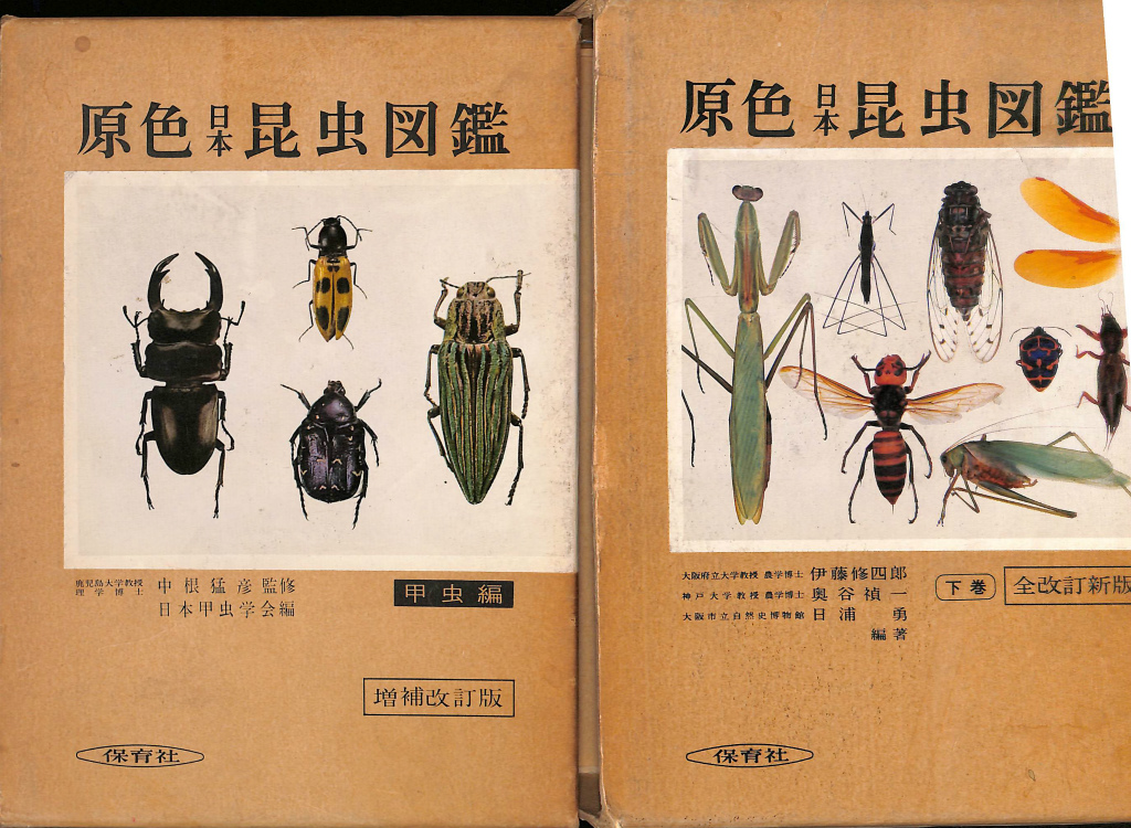 原色日本昆虫図鑑 上下巻揃 中根猛彦 監修 | 古本よみた屋 おじいさんの本、買います。