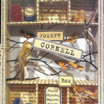 ジョセフ・コーネル・ボックス（英）The JOSEPH CORNELL BOX Found