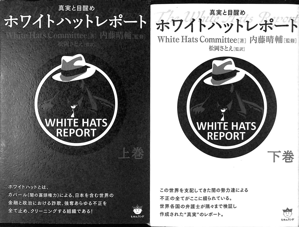 ホワイトハットレポート 上下巻揃 WHITE HATS COMMITTEE 著 内藤晴補