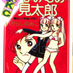 いがらしゆみこ　まとめ売り10冊　講談社コミックスなかよし　ティーンコミックス キャンディキャンディ いがらしゆみこ 講談社 なかよし 少女漫画