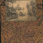 最近の南国 坪谷善四郎 古本よみた屋 おじいさんの本、買います。