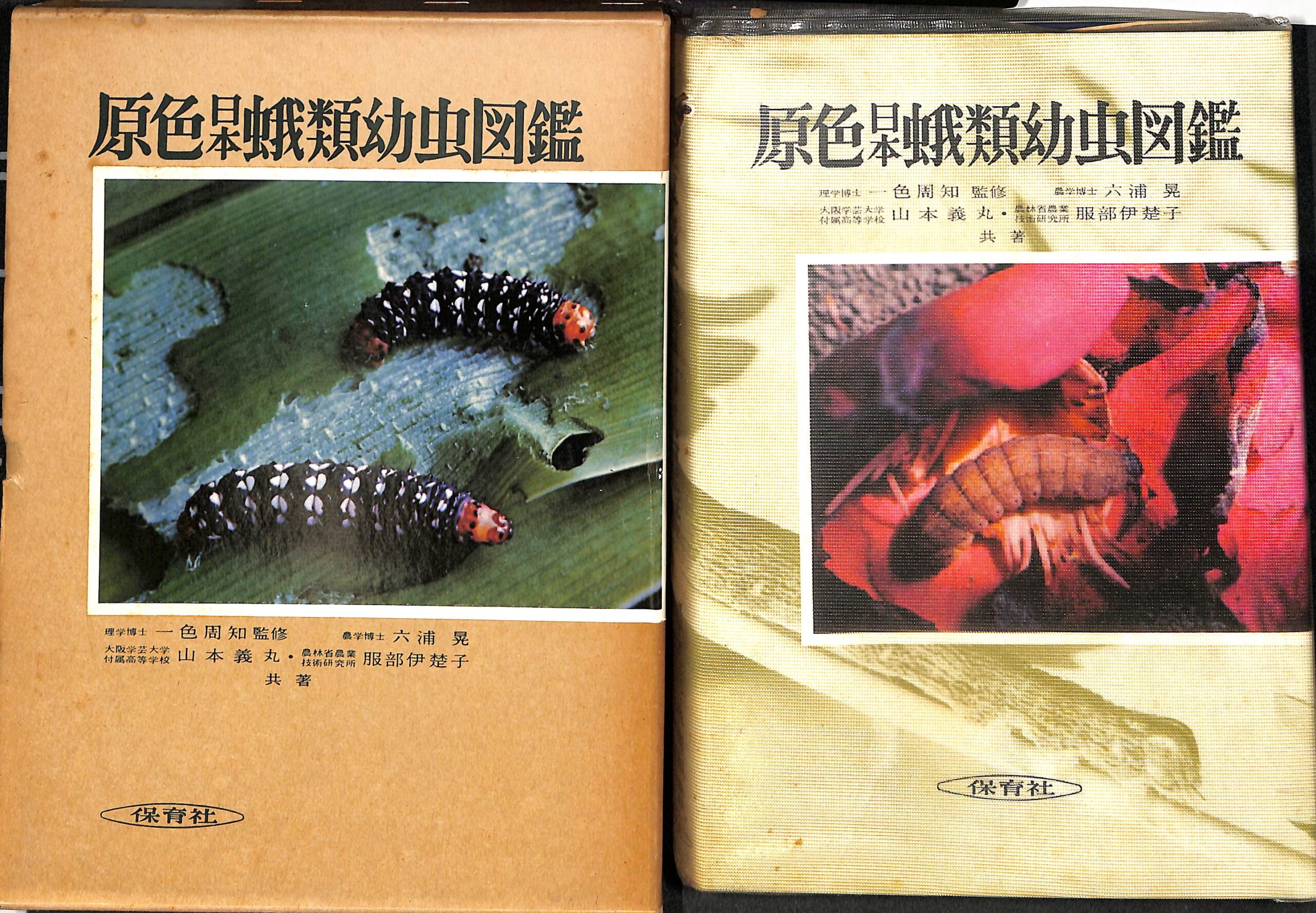 保育社の原色図鑑 原色日本蛾類図鑑 改訂新版 上・下 江崎悌三 保育社 