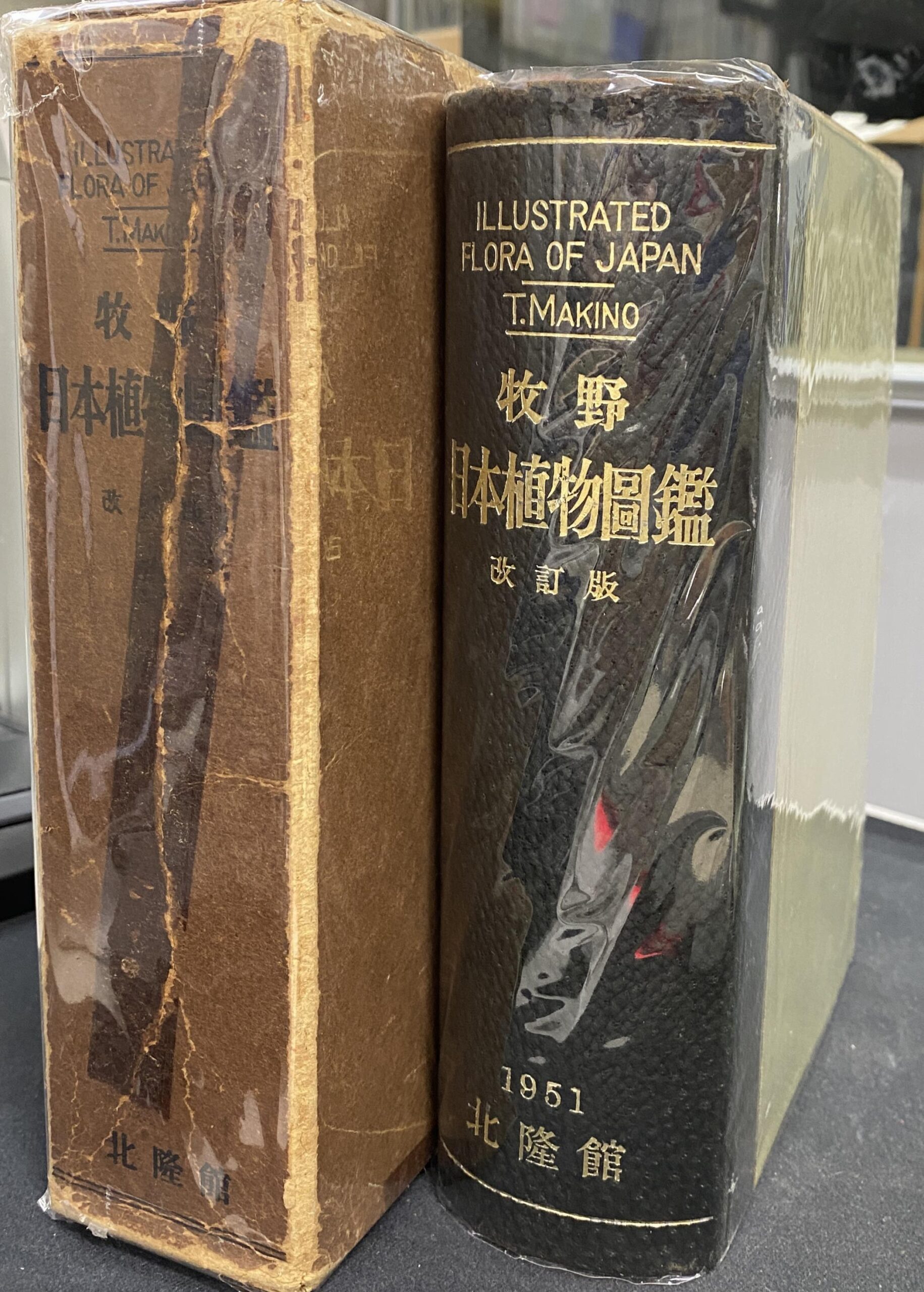 植物図鑑 北隆館刊 牧野富太郎訂 東京博物学研究会 編纂 - ノン 