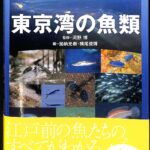 東京湾の魚類/平凡社/加納光樹（単行本（ソフトカバー）） 科学/技術