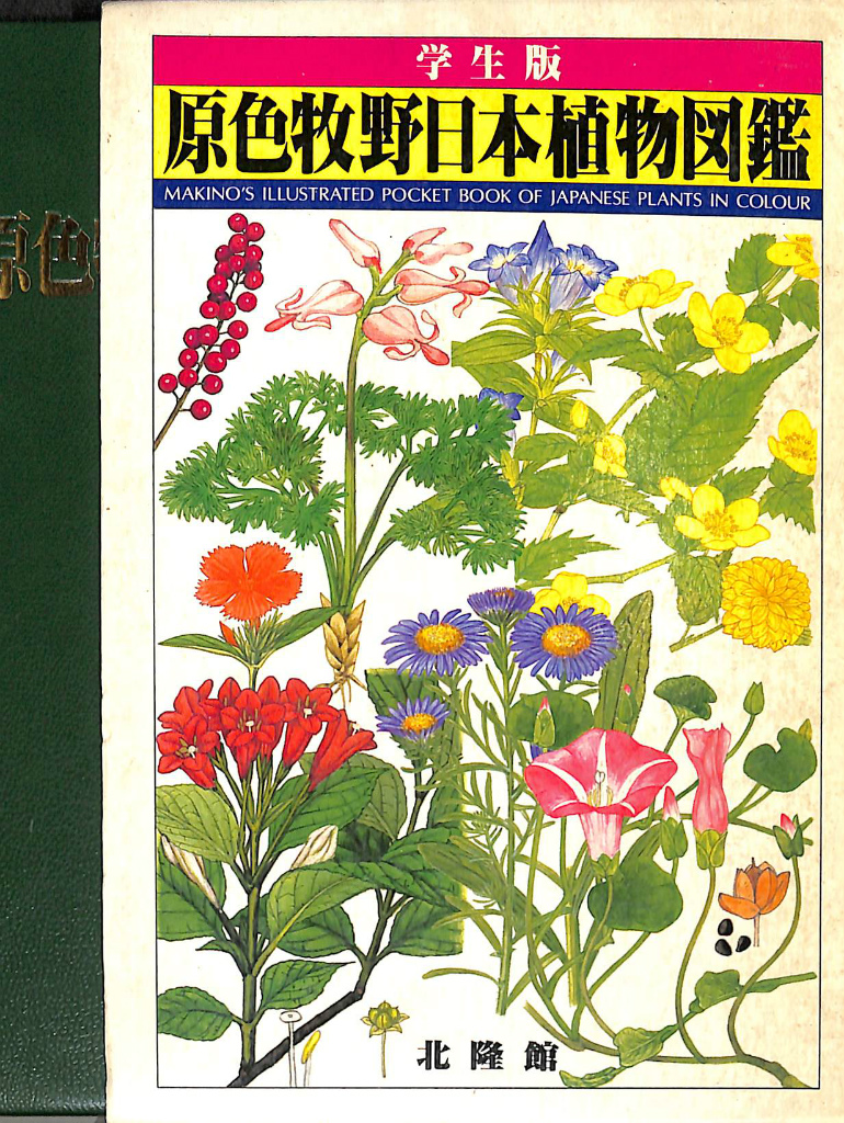 日本植物図鑑 牧野富太郎著 昭和3年発行 - その他