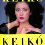 アンティーク　ボンカレー　1992年物　松坂慶子さん Amazon.co.jp: 1980年7月-12月 松坂慶子 カレンダー : 文房具