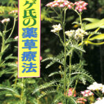 【中古】 メッセゲ氏の薬草療法/自然の友社/モーリス・メッセゲ メッセゲ氏の薬草療法 | モーリス・メッセゲ |本 | 通販 | Amazon