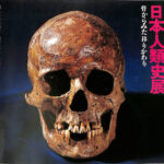 1961年公開　当時の新聞切抜き　骸骨面　丸の内東宝 日本人類史展 骨からみた移り変わり 国立科学博物館人類研究室創設記念